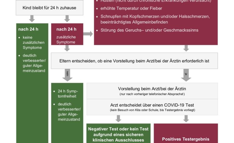 Umgang mit Erkältungs-/Krankheitssymptomen bei Kindern und Jugendlichen in Kita und Schule in Rheinland-Pfalz gültig ab 30.08.2021